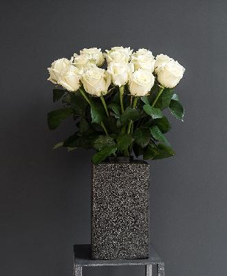 Роза Россия 15 шт - Белый